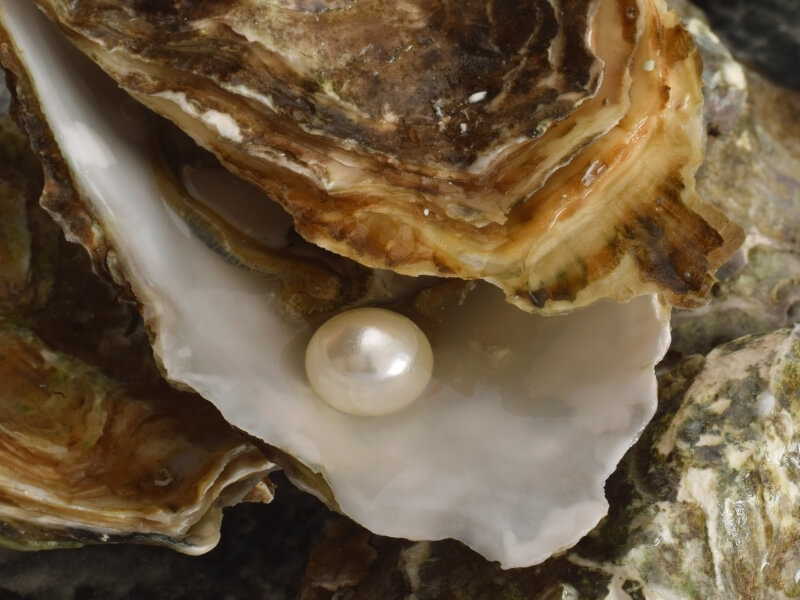 Real Pearl Collection 08