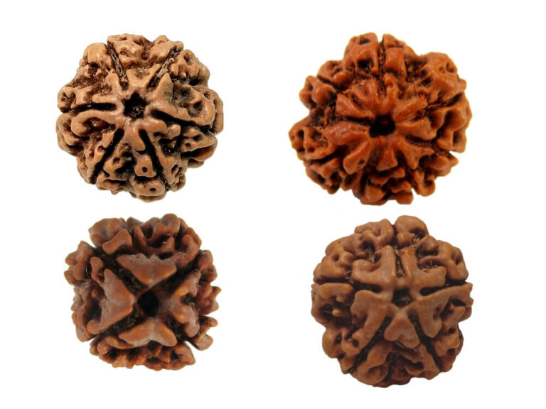 original-rudraksha-gems-for-everyone