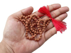 Rudraksha Mala 1