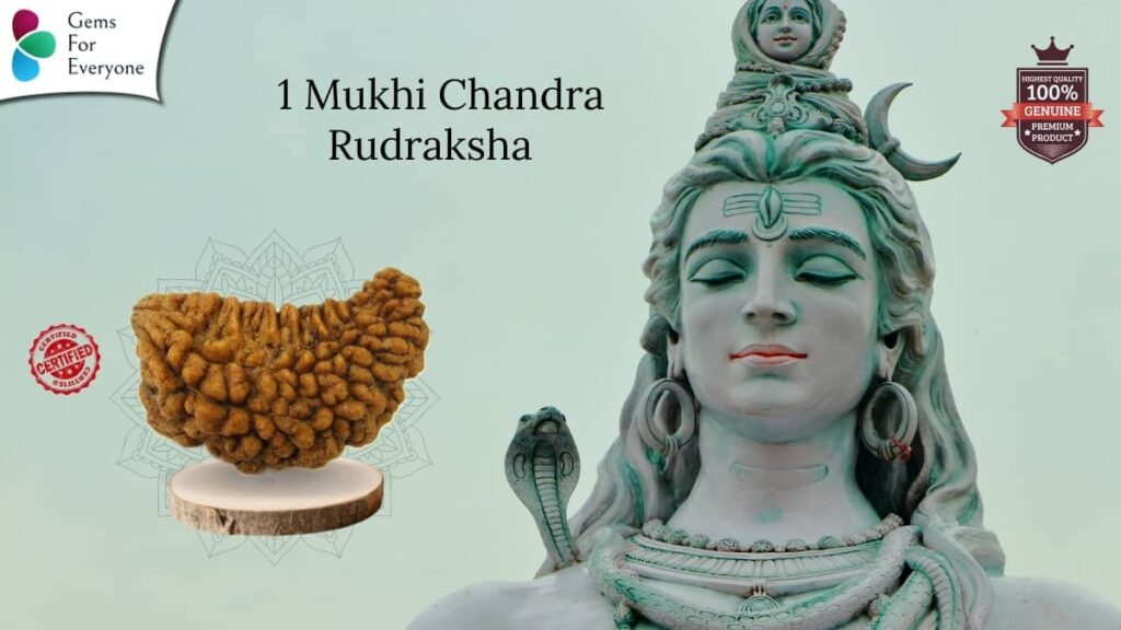 1 Mukhi Natural Rudraksha