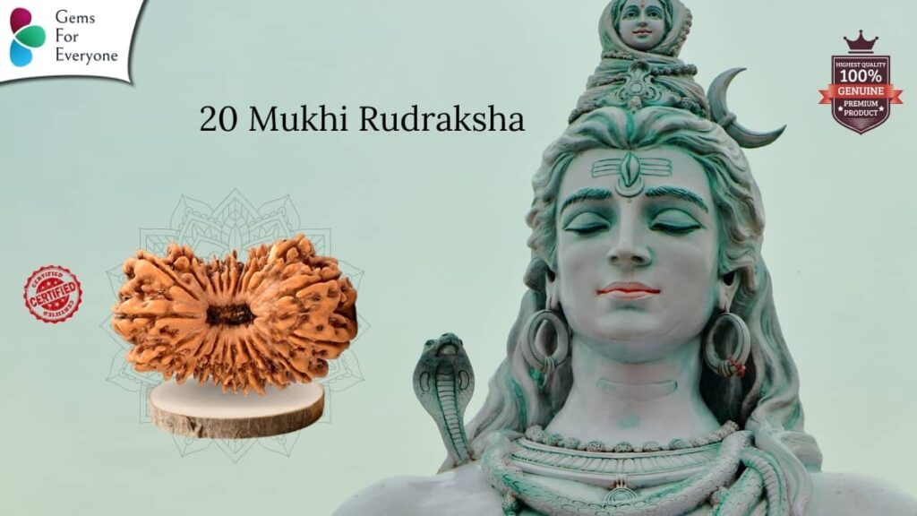 20 Mukhi Natural Rudraksha