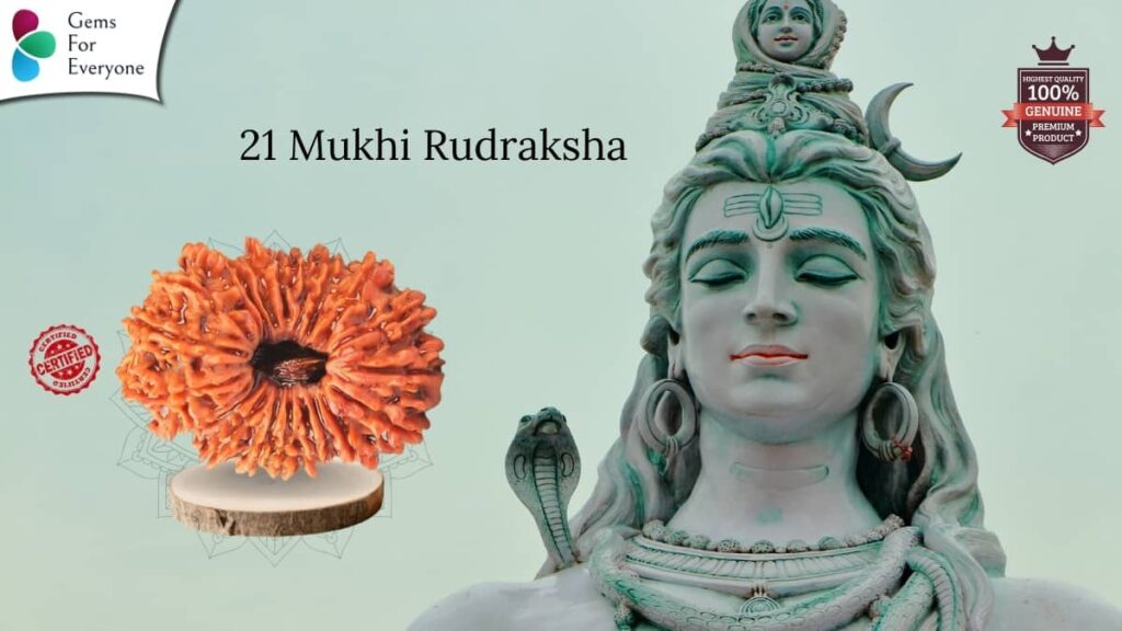 21 Mukhi Natural Rudraksha