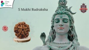 5 Mukhi Natural Rudraksha