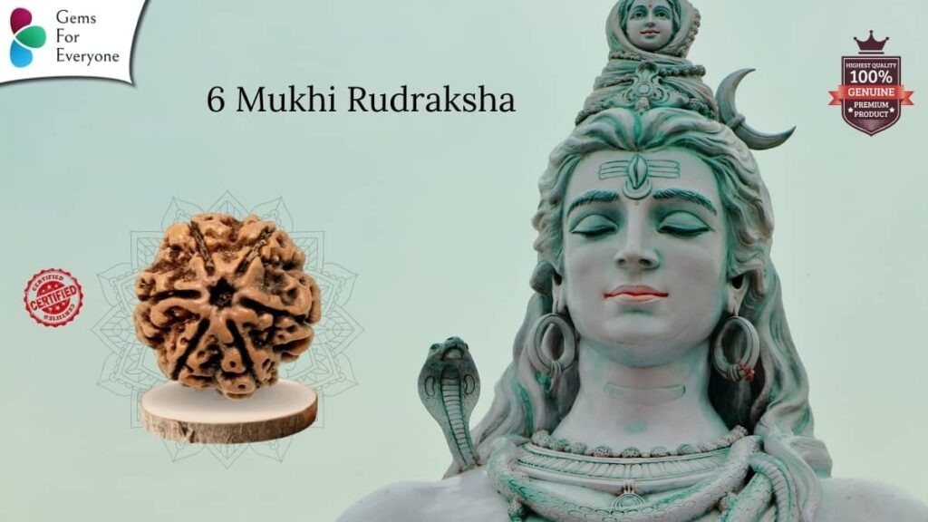6 Mukhi Natural Rudraksha