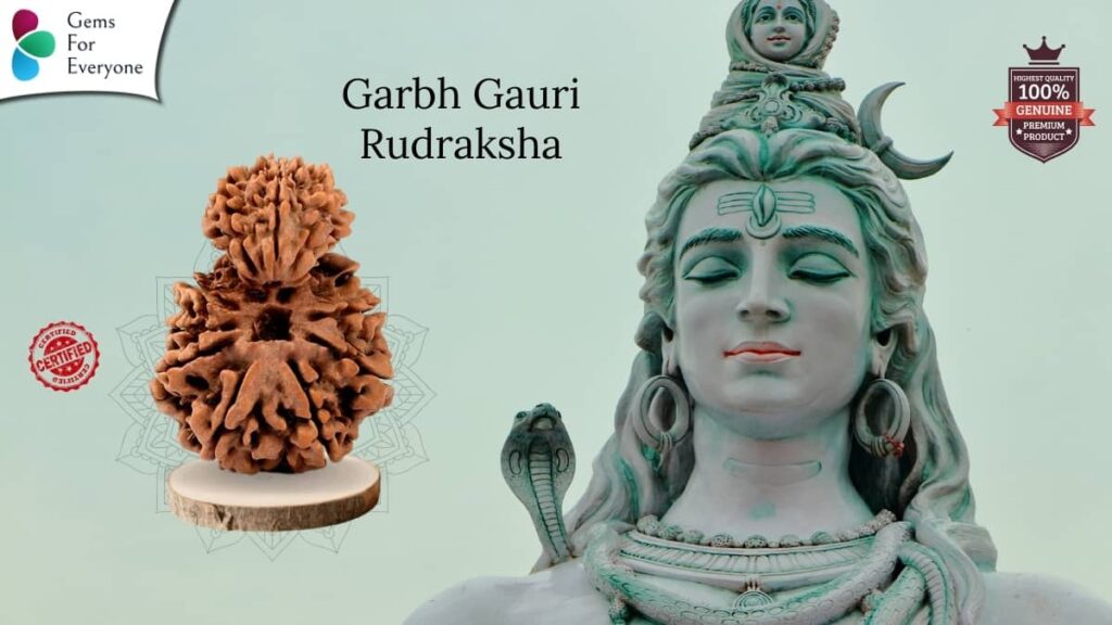 Garb Gauri Natural Rudraksha