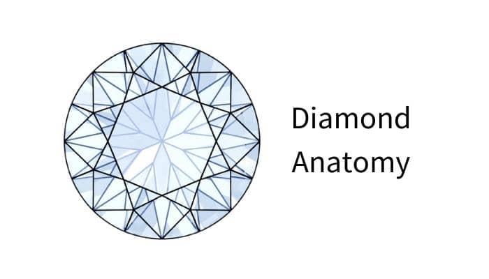 Education Diamond Anatomy
